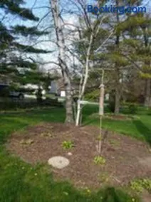 Dana Guest House - Image 4