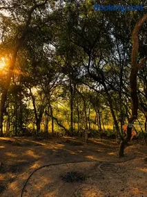 Camp luz casal 1 - Image 1