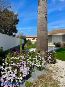 grande villa piscine Marseillan plage cap agde - Image 2