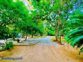 Polonnaruwa Holiday inn - Image 2