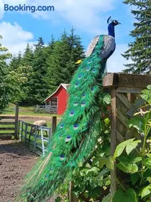 Four Wheels Farm - Image 3