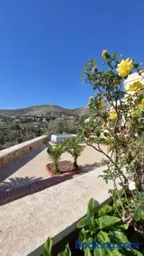 MAFILVI Panorama - Image 3