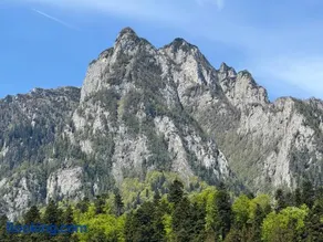 Alpin Vista - Image 4