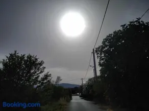 Only Sun - Image 3