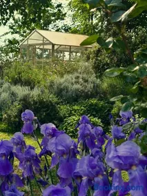 B&B Ostria Vento - Image 3