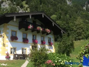 Alpaka-Hof Landinger - Image 3