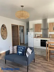 Magnifique maison neuve Mimizan plage entre pins et océan - Image 1