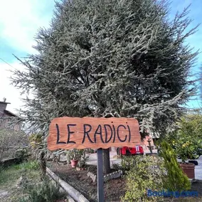 LE RADICI - Image 1