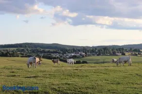 Čtyři pokoje - Image 1