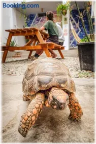ATMA Hostel & Yoga - Image 3