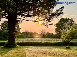 Octon Cottages Luxury 1 and 2 Bedroom cottages 1 mile from Taunton centre - Image 3