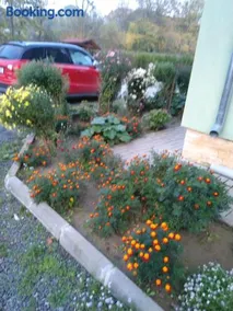 Agropensiunea Cetatuia - Image 3