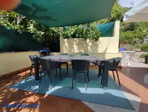 Margarita - Image 2