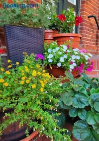 Appartamento accogliente e familiare con giardino e griglia | Accetta animali domestici - Image 2