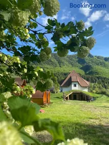 Pensiunea Dealul Cu Melci - Image 2
