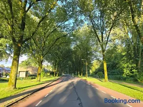 ZM Tilburg - Image 4