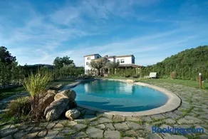 Coroncina - Image 3
