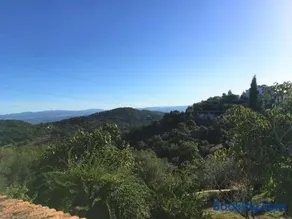 Finca Horno de Cal - Image 3