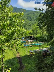 Honeyhouse Tjentiste, Foca - Image 4