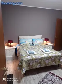 B&B Leo - Image 4