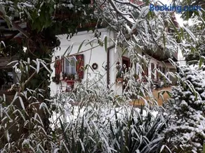 Garten Vendégház - Image 3