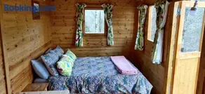 Pike's Cabin in the Woods - Image 2