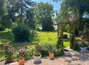 Homerez - Charmerende hus Ombrée d'Anjou - Image 4