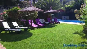 La Hojarasca - Image 3