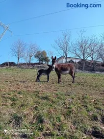 Agriturismo Corte Maccini - Image 4