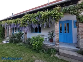 Kisbagoly Vendégház - Image 4