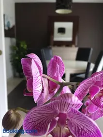 Nano House - Image 1