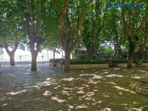 Affittacamere Scacco Matto - Image 1