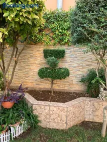 SUITE LUJOSO CON CHIMENEA - Image 3