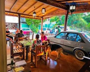 Green View Holiday Resort - Image 4