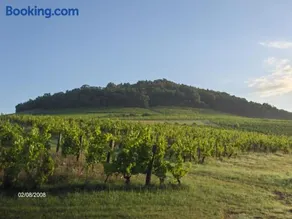 La maison du vigneron - Image 1