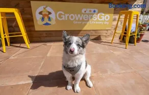 Growers Boutique Huelva - Image 4