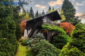 Villa Gineta - Image 2