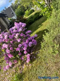 Lovely Home - Image 2