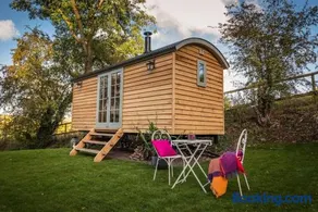 Duck Hut - Image 4
