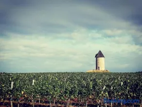 Gîte bucolique de Haut Martet - Image 2