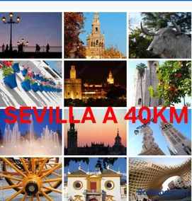 Villa Mirador del Sol, 45min playas de Doñana, 35min de Sevilla, Bodegas de Vinos - Image 2