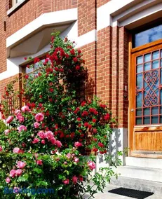 L'Atelier Bed and Breakfast - Image 3