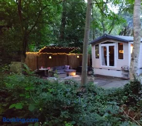 Chalet met veranda aan bosrand - Image 1