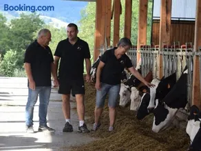 Ferme en Auvergne, terrasse, animaux admis - FR-1-496-290 - Image 3