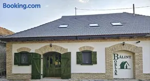 Bálint Borlak - Image 2