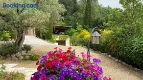 Petitsouci - Image 3