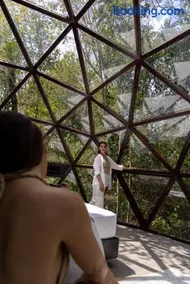 Glass House - Image 3