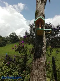 Eco-hostal Namaste - Image 4