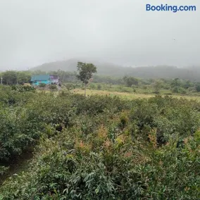 Chomview Hut - Image 1