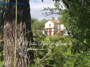 Ninho Bico-de-Lacre ~ o paraíso é a/na Terra - Image 1